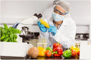 Scientist testing corn in lab with fresh vegetables, nut-free snack bar food science research