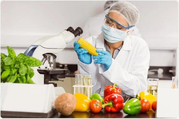 Scientist testing corn in lab with fresh vegetables, nut-free snack bar food science research